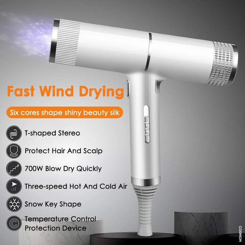 Professional Ionic Hair Dryer with Salon-grade Performance and Anti-static Feature High Power Strong Wind Home Hair Styler Tool